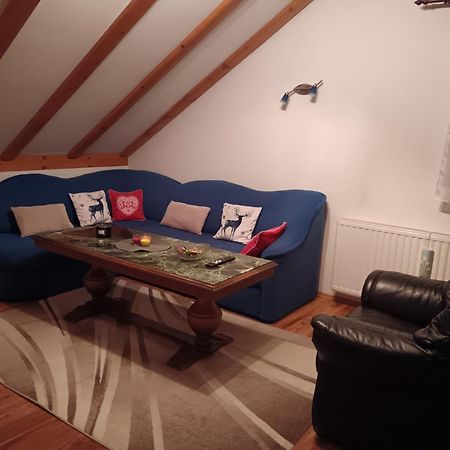 Appartement Drago Kremenjas à Delnice Extérieur photo
