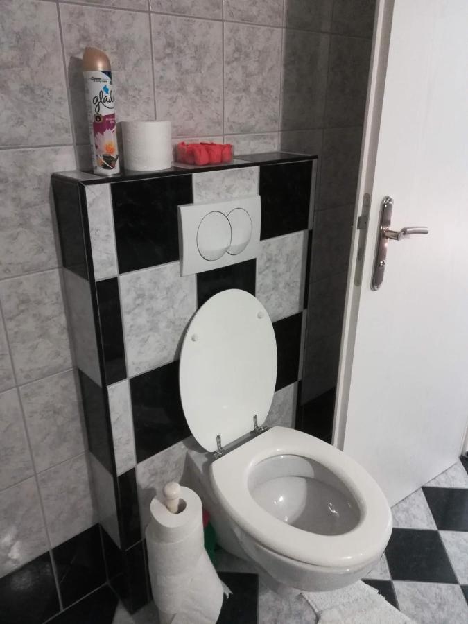 Appartement Drago Kremenjas à Delnice Extérieur photo