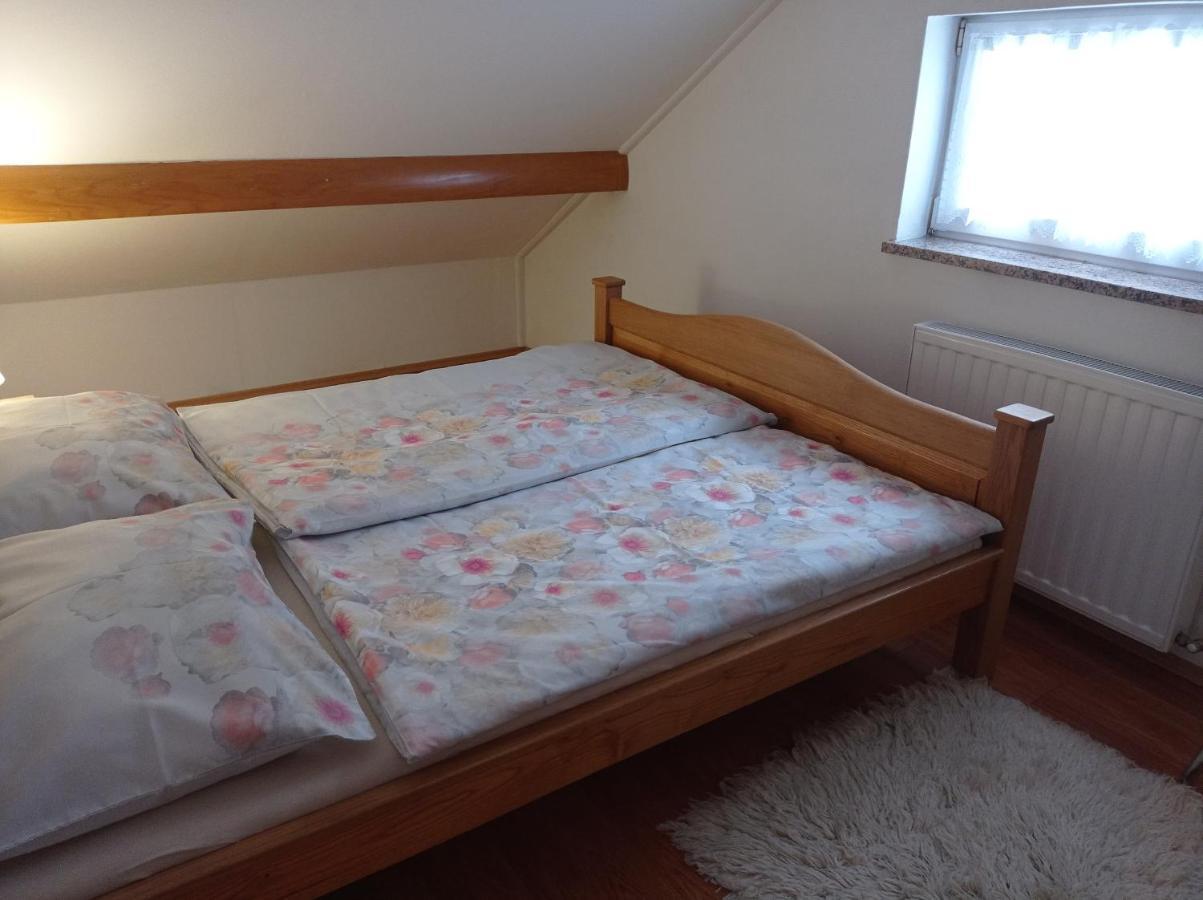Appartement Drago Kremenjas à Delnice Extérieur photo