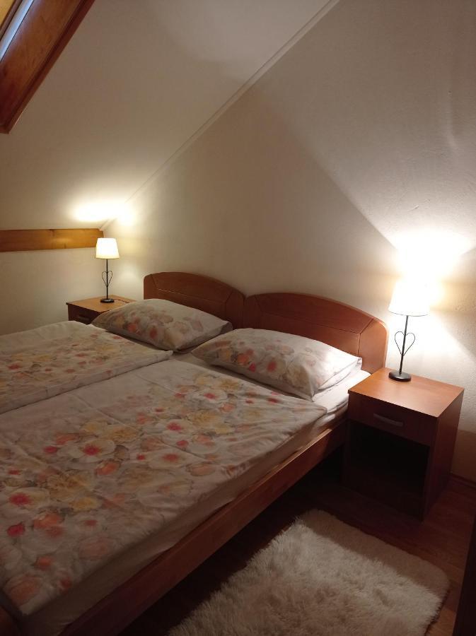 Appartement Drago Kremenjas à Delnice Extérieur photo