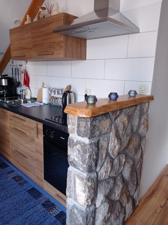 Appartement Drago Kremenjas à Delnice Extérieur photo