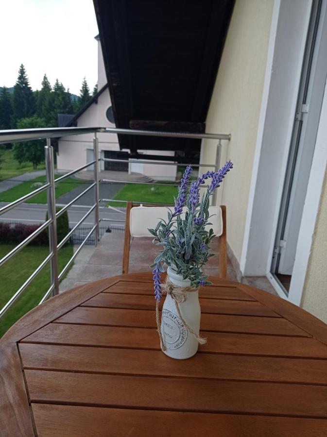 Appartement Drago Kremenjas à Delnice Extérieur photo