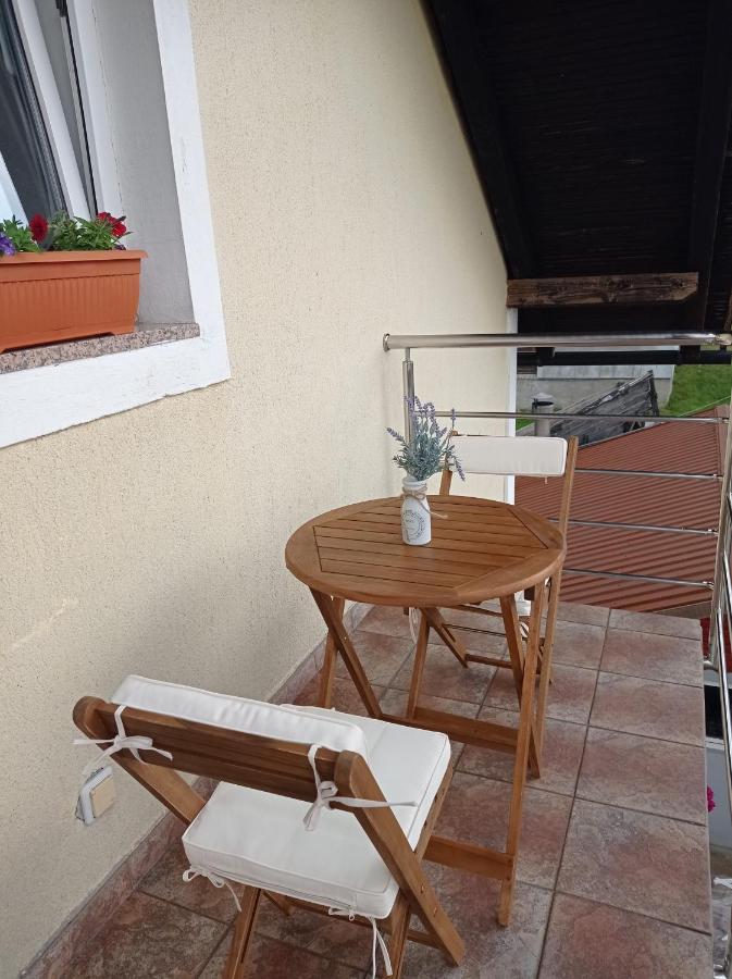 Appartement Drago Kremenjas à Delnice Extérieur photo
