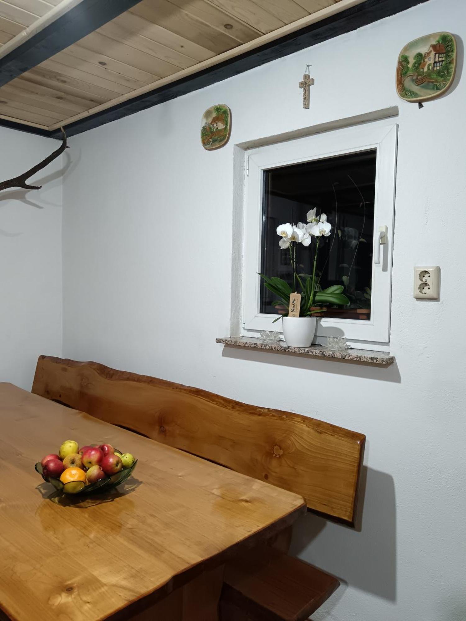 Appartement Drago Kremenjas à Delnice Extérieur photo