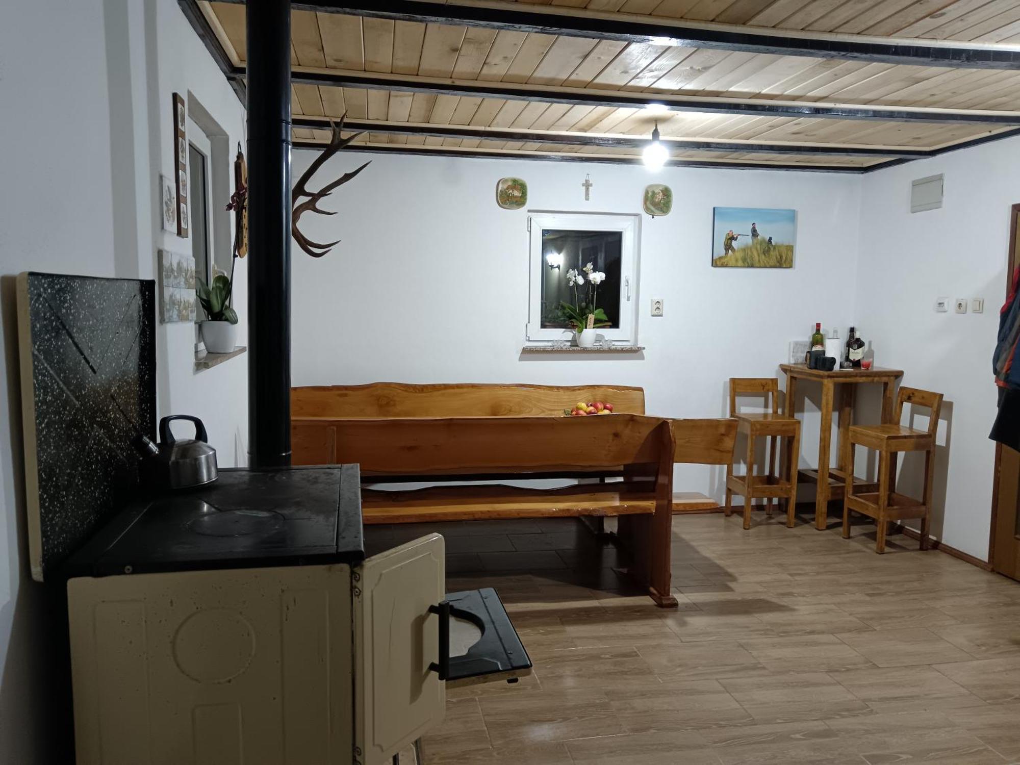 Appartement Drago Kremenjas à Delnice Extérieur photo