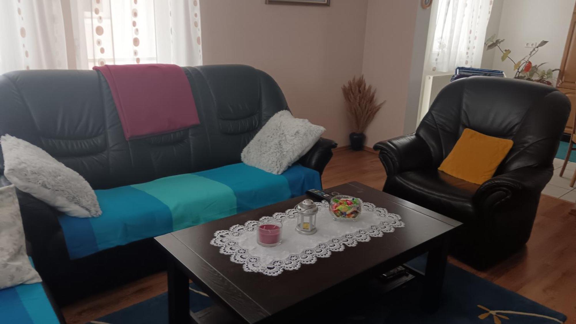 Appartement Drago Kremenjas à Delnice Extérieur photo